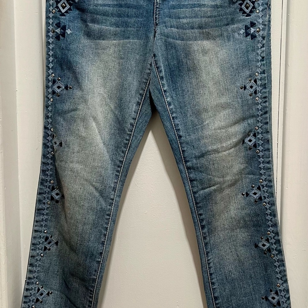 Embroidered Skinny Leg Blue Denim Jeans